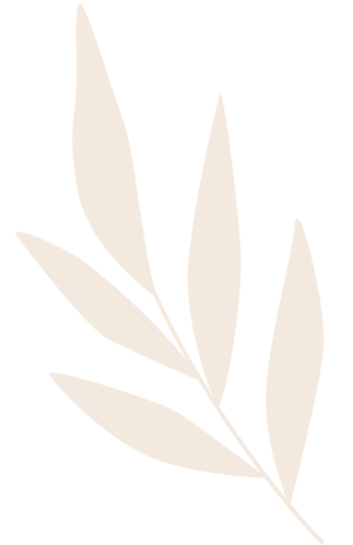 pottery-seed